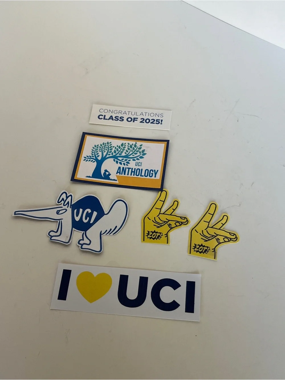 Hand Cut  University Of California Irvine Scrapbook Paper Craft Embellishment